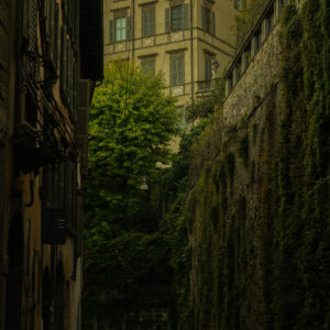 Cidade Baixa- Bergamo